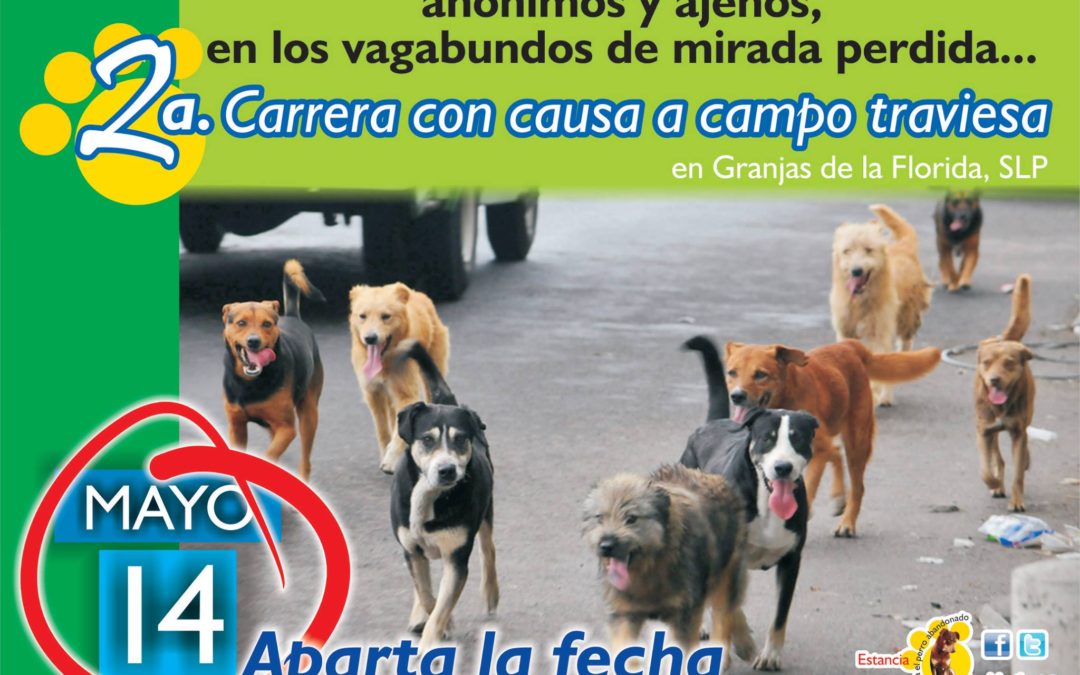 2a. CARRERA CON CAUSA A CAMPO TRAVIESA EN GRANJAS DE LA FLORIDA, SLP