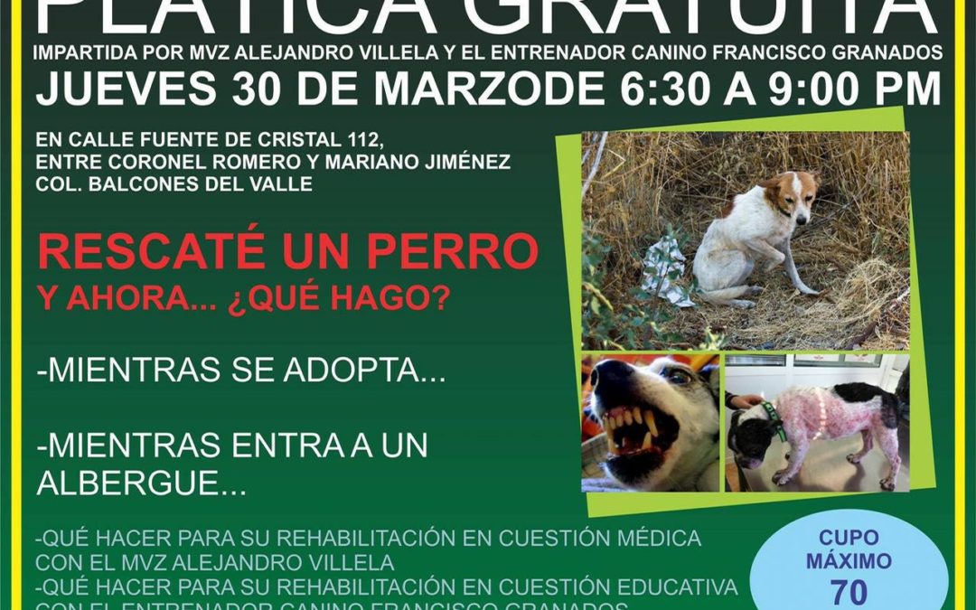 Cada que rescatas a un animal sabes la responsabilidad de hacerlo?