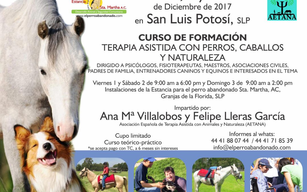 CURSO DE FORMACIÓN «TERAPIA ASISTIDA CON PERROS,  CABALLOS Y NATURALEZA»