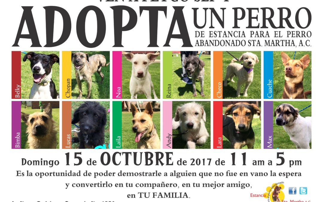 EVENTO DE ADOPCIONES EN PETCO SLP
