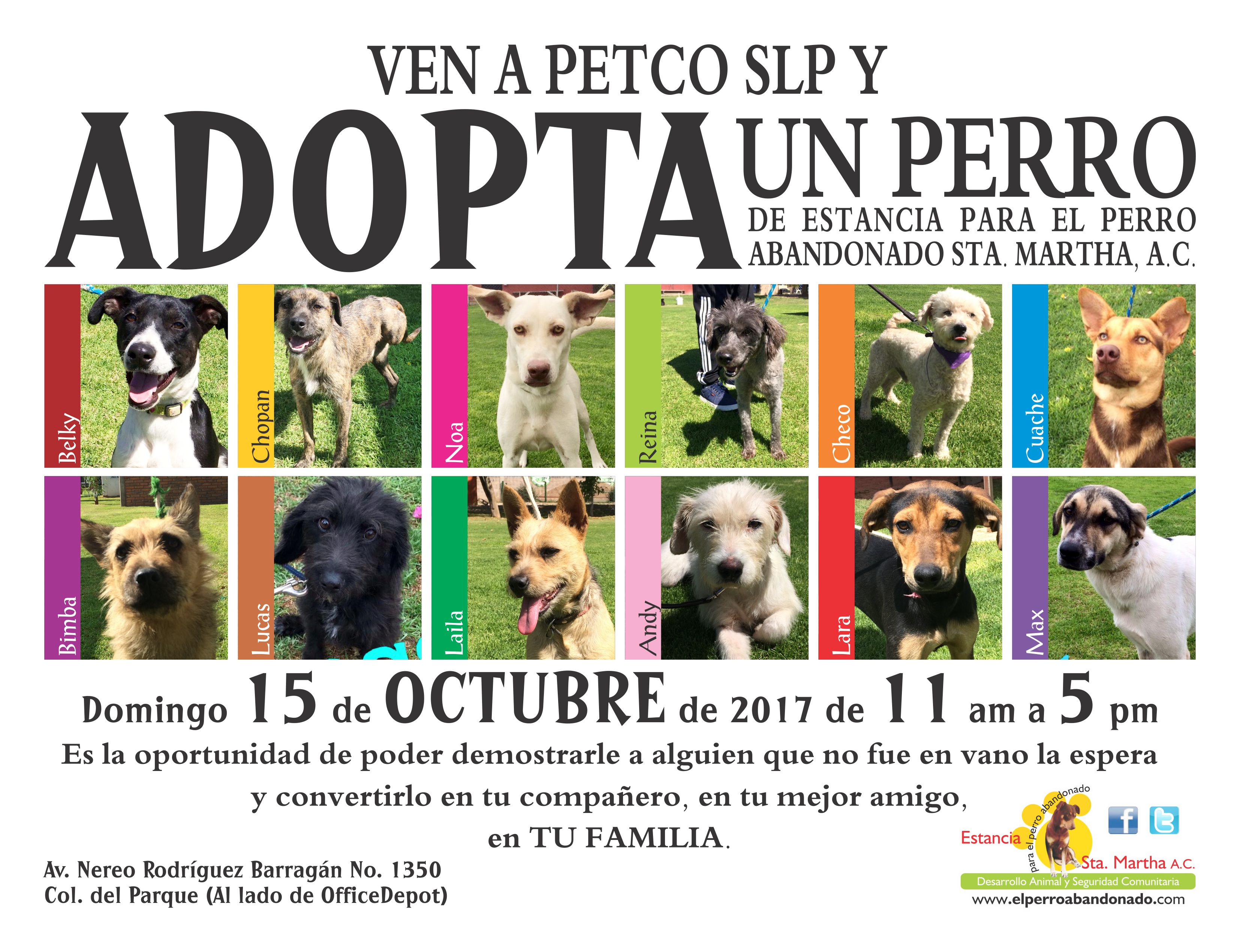 EVENTO DE ADOPCIONES EN PETCO SLP | Estancia Santa Martha para el Perro  Abandonado