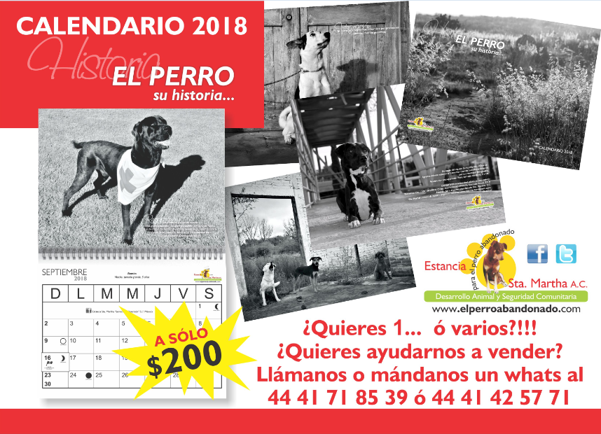 CALENDARIO 2018 A LA VENTA