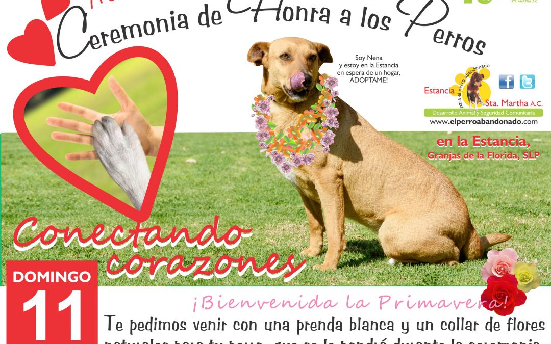 CEREMONIA DE HONRA A LOS PERROS