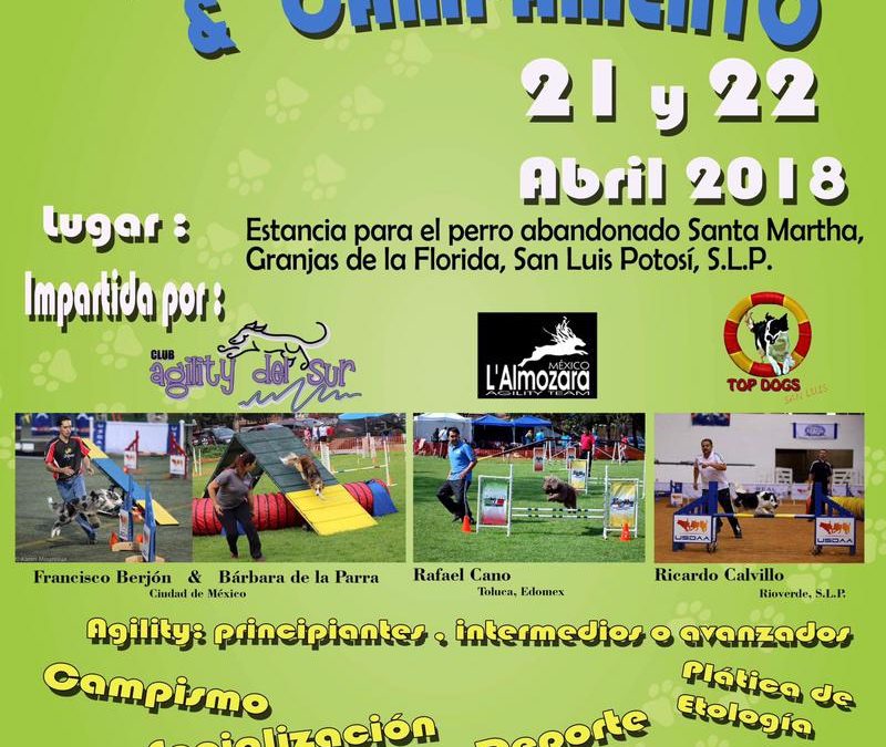 CURSO AGILIDAD CANINA Y CAMPAMENTO