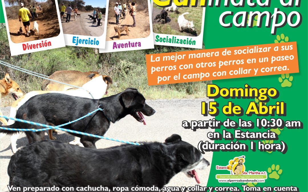 CANINATA AL CAMPO-ABRIL 15 DE ABRIL DE 2018, A LAS 10:30 AM