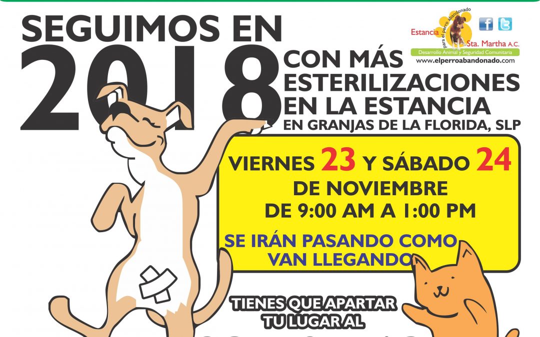 EN NOVIEMBRE: ESTERILIZACIONES A BAJO COSTO