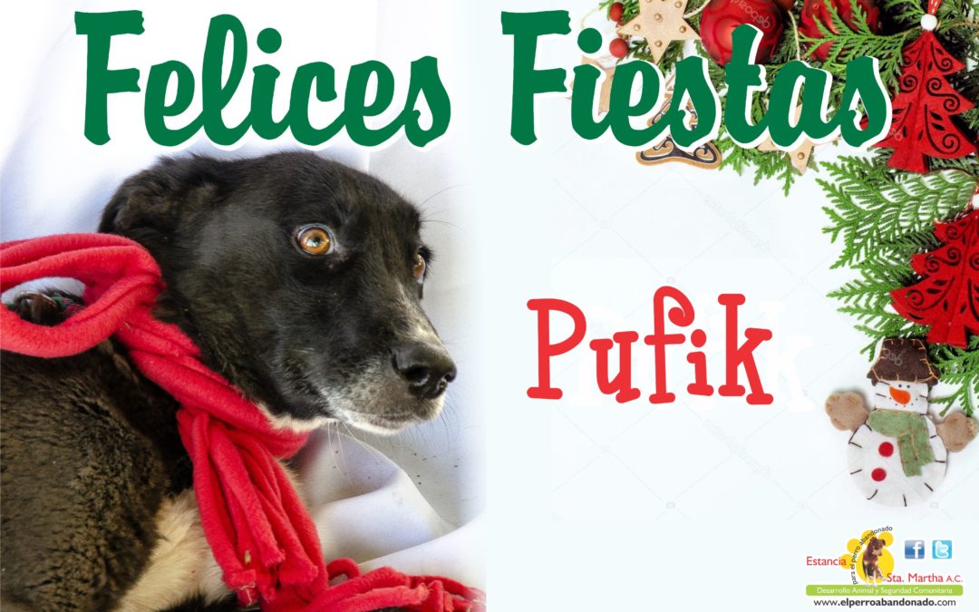 ¡¡¡FELICES FIESTAS!!!