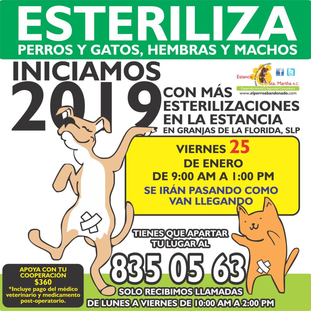 ESTERILIZACIONES A BAJO COSTO EN LA ESTANCIA