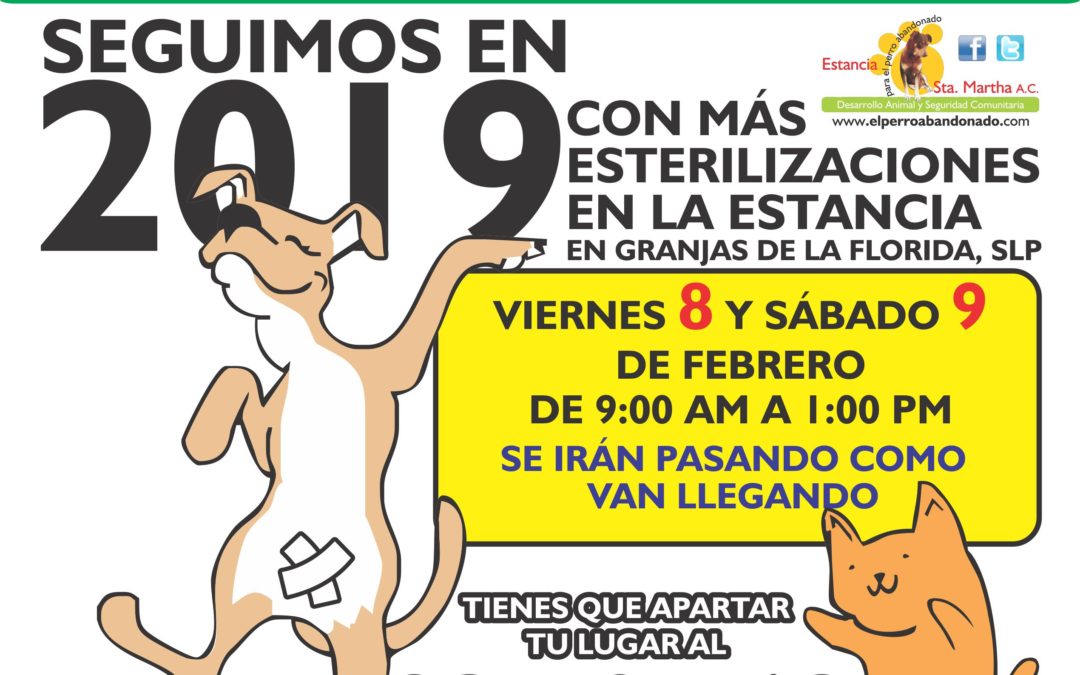 ESTERILIZACIONES EN FEBRERO A BAJO COSTO