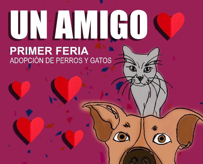 ADOPTA UN AMIGO-INPOJUVE