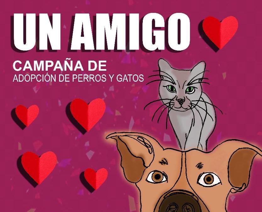 ADOPTA UN AMIGO-INPOJUVE