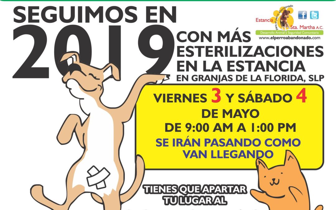 ESTERILIZACIONES A BAJO COSTO EN LA ESTANCIA