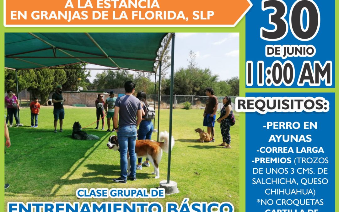 CLASE GRATUITA DE ENTRENAMIENTO BÁSICO