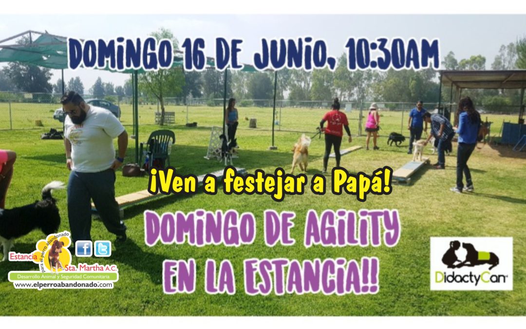 DOMINGO DE AGILITY EN LA ESTANCIA