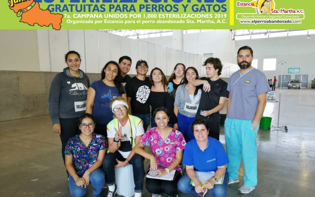 TERMINAMOS LAS ESTERILIZACIONES EN LA FENAPO