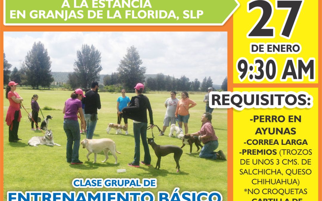 PRÓXIMO DOMINGO DE ENTRENAMIENTO BÁSICO