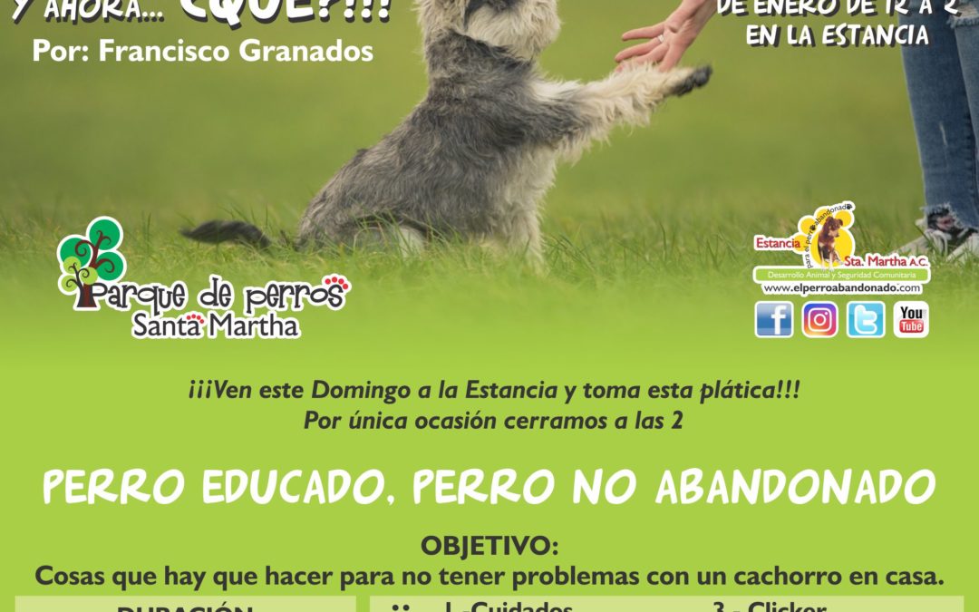 Plática: ¡Tengo un cachorro!… Y ahora… ¿Qué?!