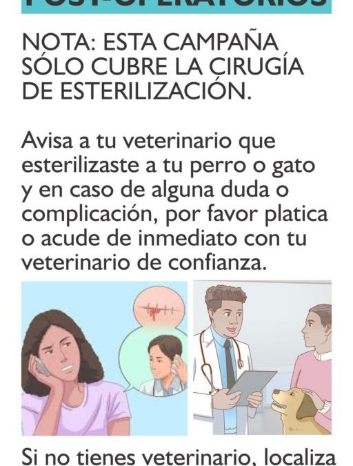 INFORMACIÓN IMPORTANTE DESPUES DE UNA CIRUGÍA