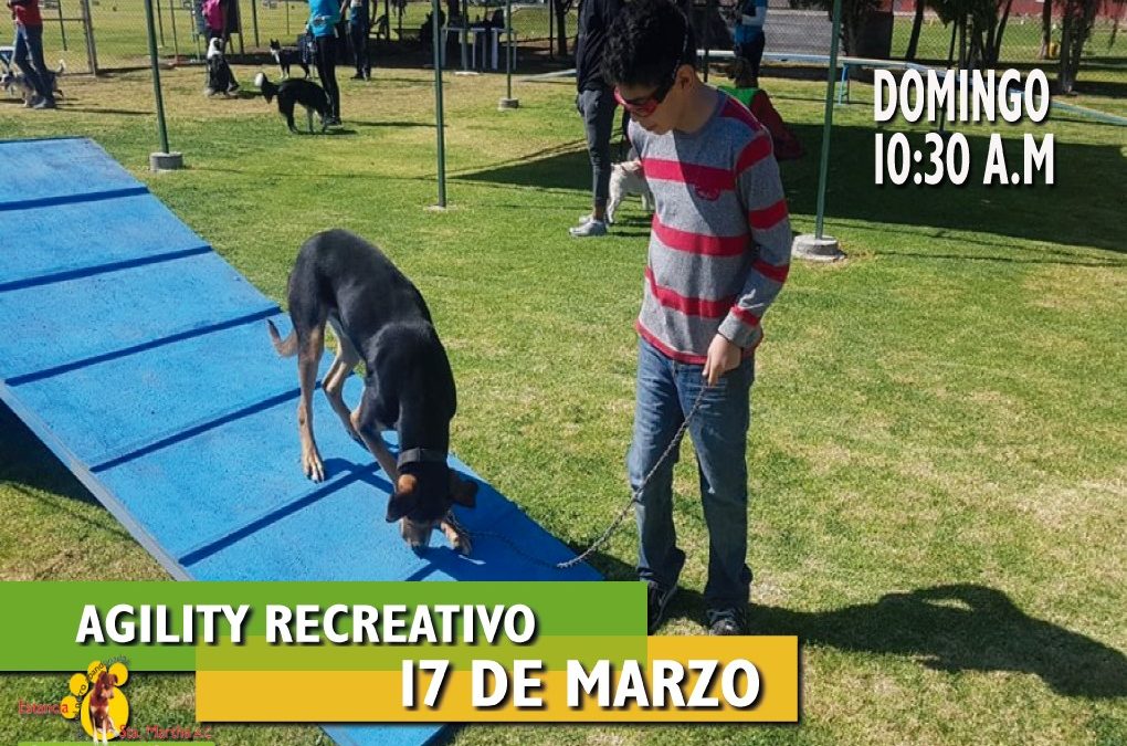 Agility en Marzo ¡Acompáñanos!