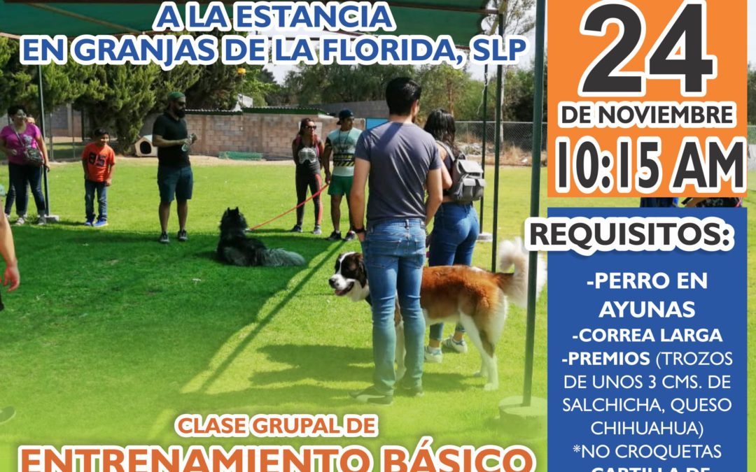 Última clase grupal de entrenamiento en la Estancia