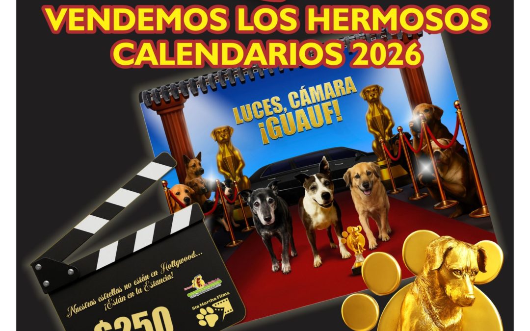 CALENDARIO 2026