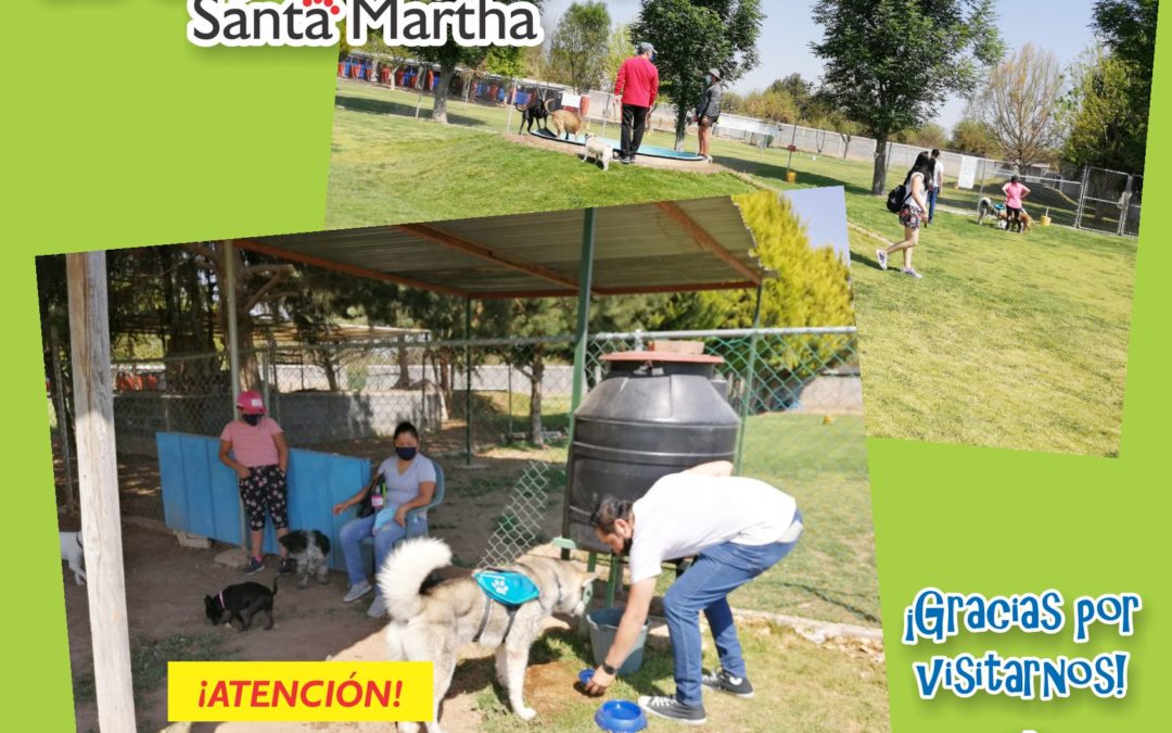 DOMINGOS DE PARQUE EN LA ESTANCIA