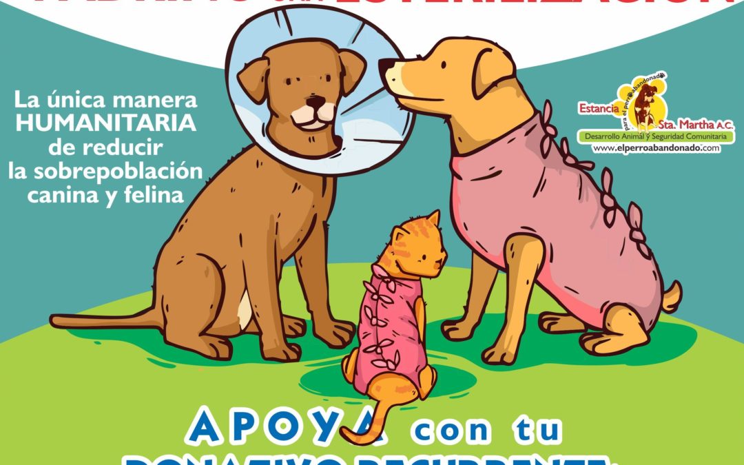 APOYA CON TU DONATIVO RECURRENTE