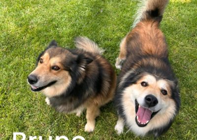BRUNO Y NICO