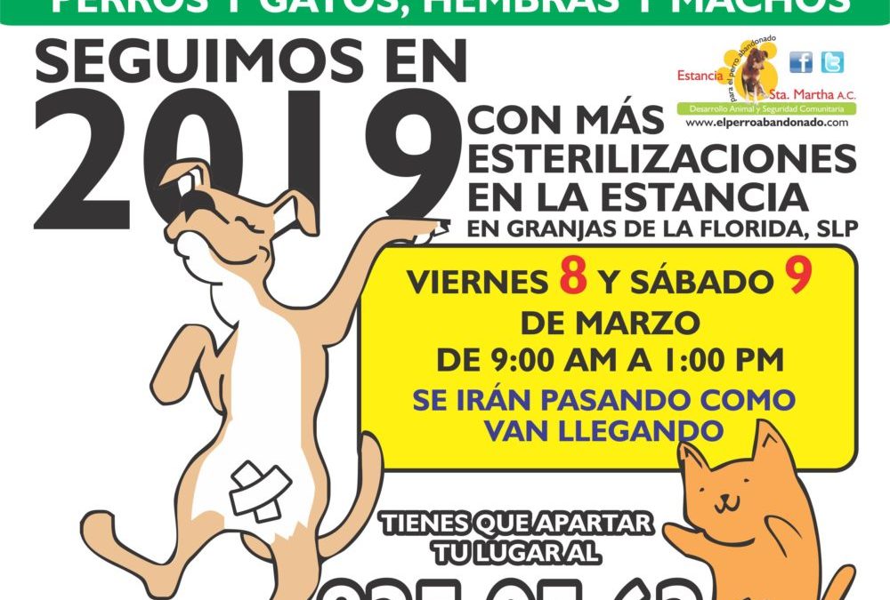 CAMPAÑA DE ESTERILIZACIÓN A BAJO COSTO