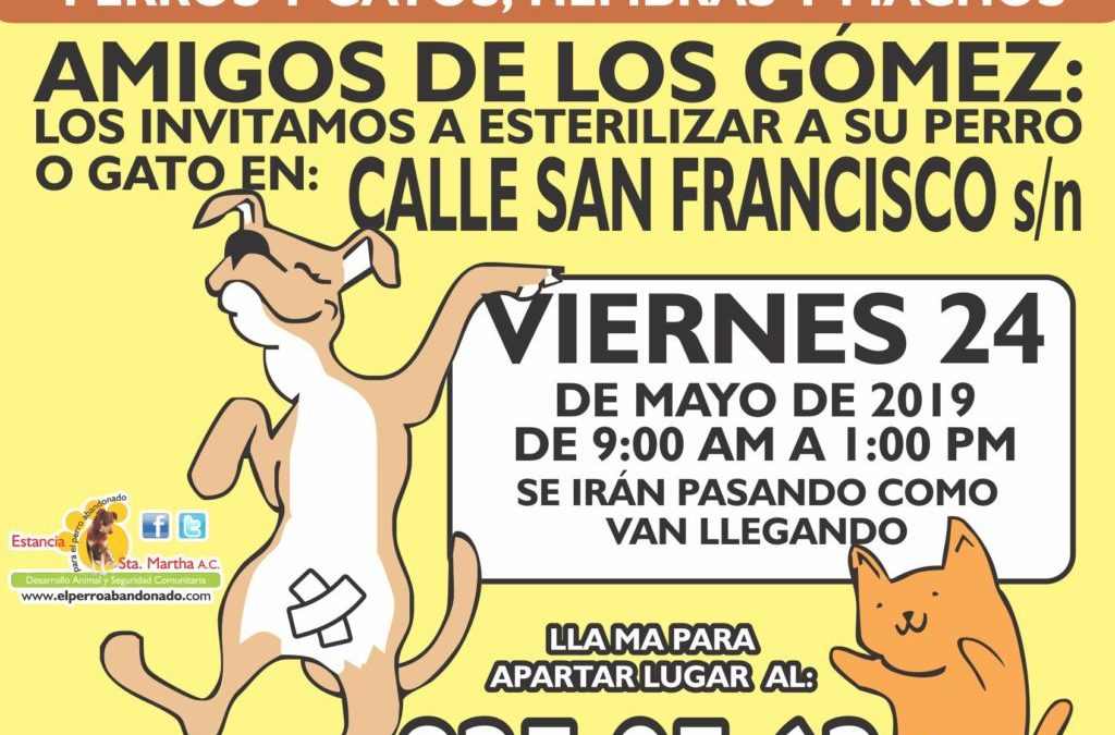 ESTERILIZACIONES A BAJO COSTO