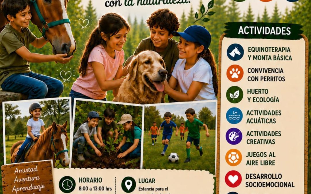 VEN AL CAMPAMENTO DE VERANO 2026