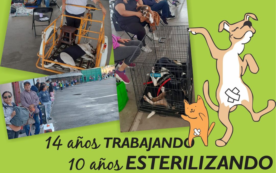 MÁS DE 18,000 ESTERILIZACIONES HASTA 2025