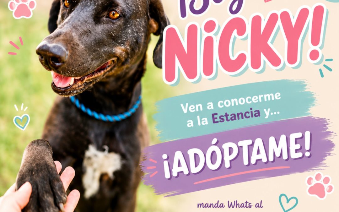 ADOPTA A NICKY