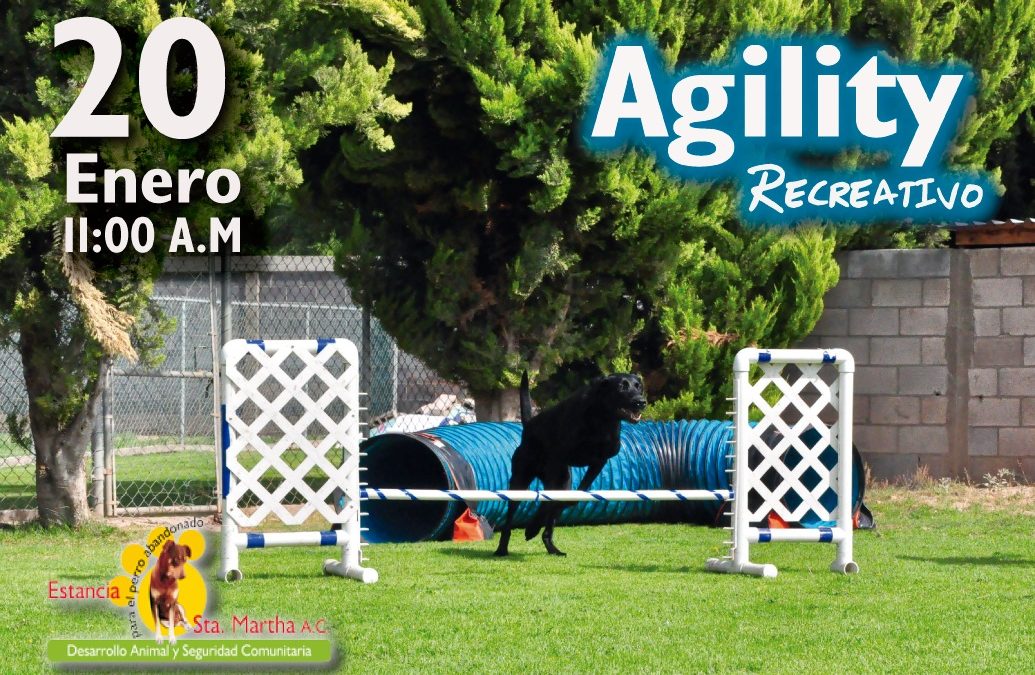 PRIMER DOMINGO DE AGILITY RECREATIVO