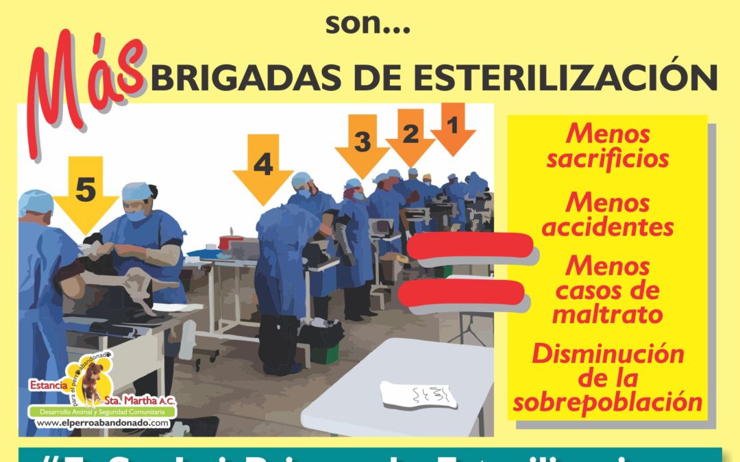 En San Luis Primero las Esterilizaciones