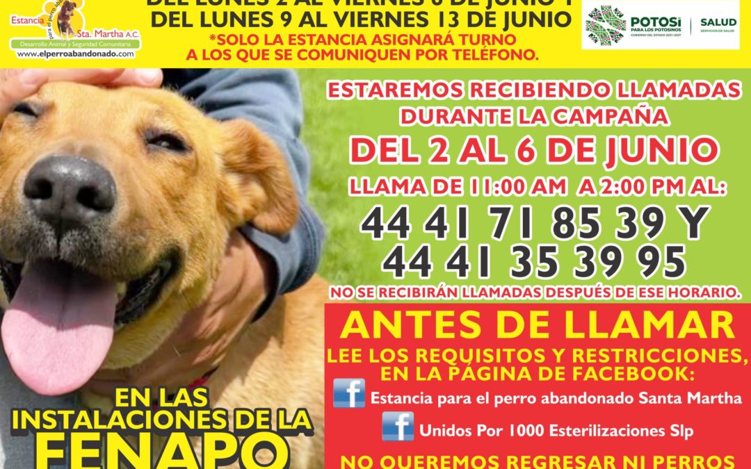 500 ESTERILIZACIONES GRATUITAS 2025