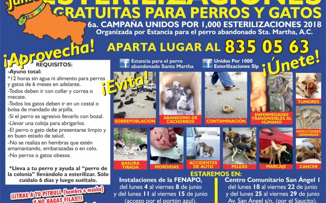 6a. campaña «UNIDOS POR 1000 ESTERILIZACIONES 2018»