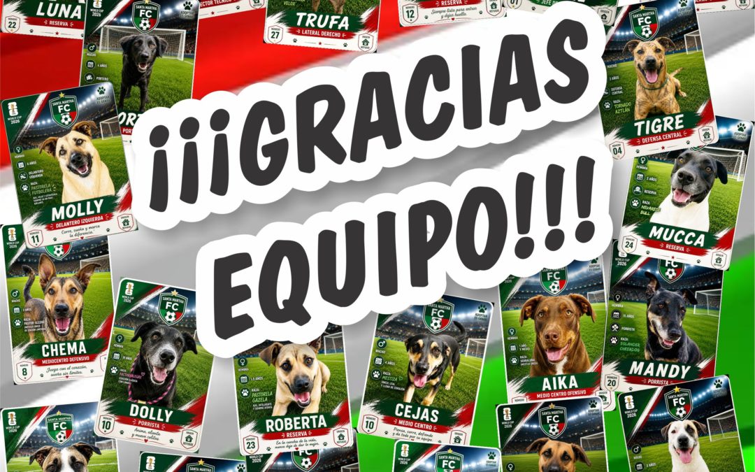 ¡¡¡GRACIAS EQUIPO!!!