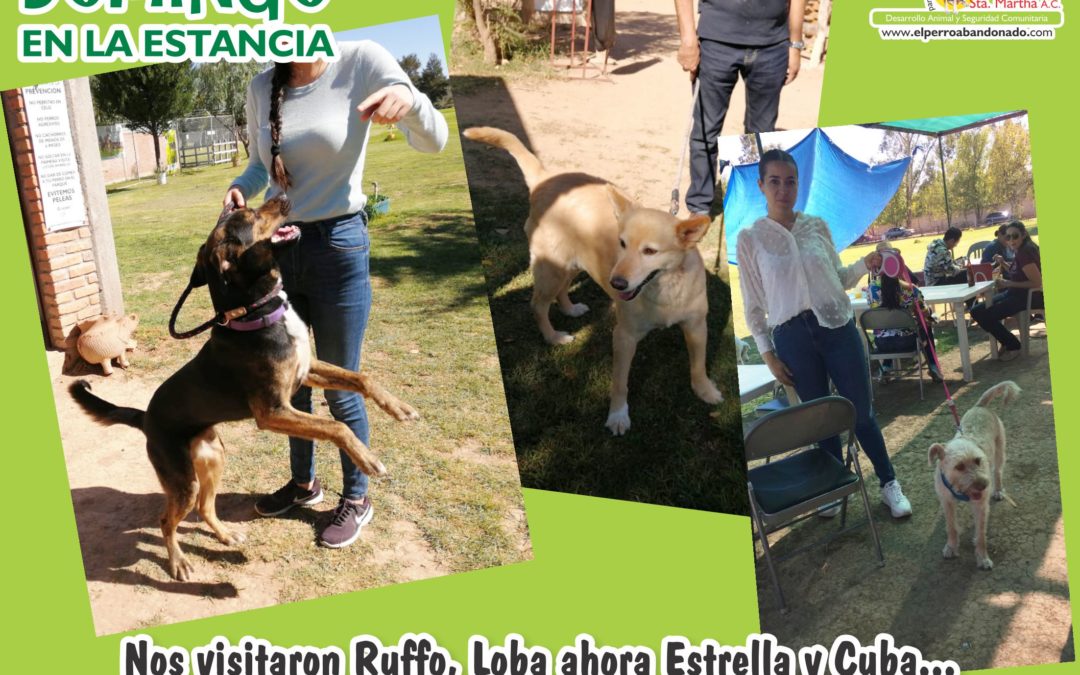 DOMINGO DE PARQUE EN LA ESTANCIA 1-12-2019