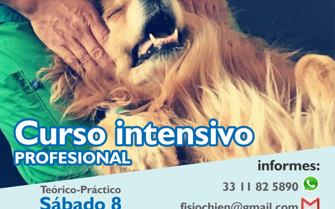 FIN DE SEMANA DE EVENTOS ACOMPAÑANOS