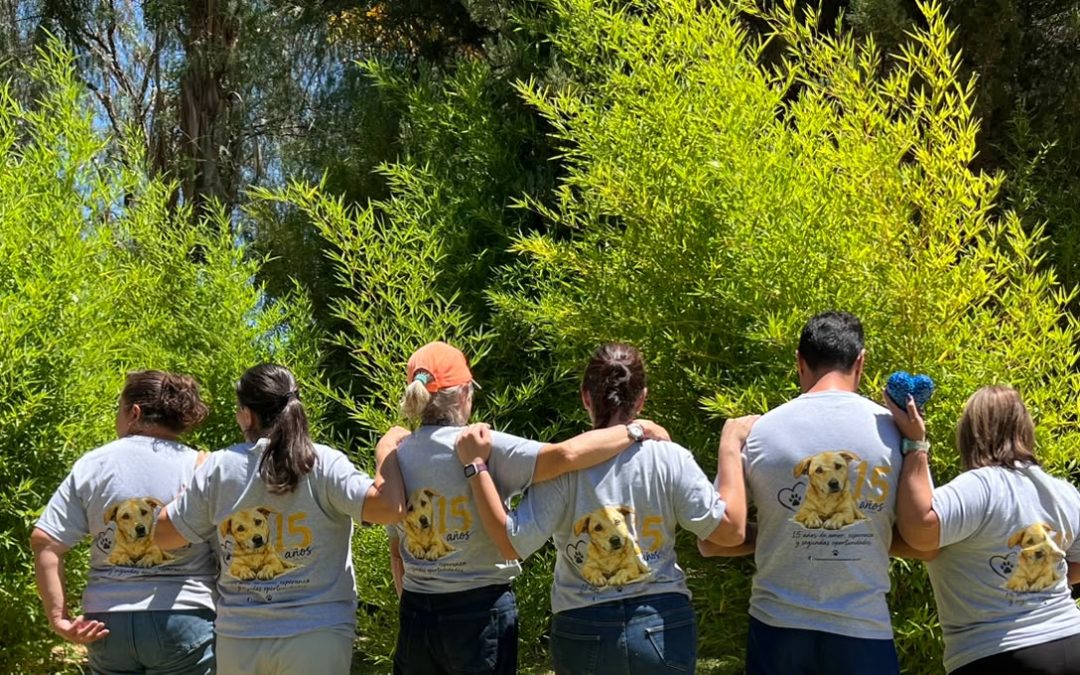15 ANIVERSARIO EN LA ESTANCIA