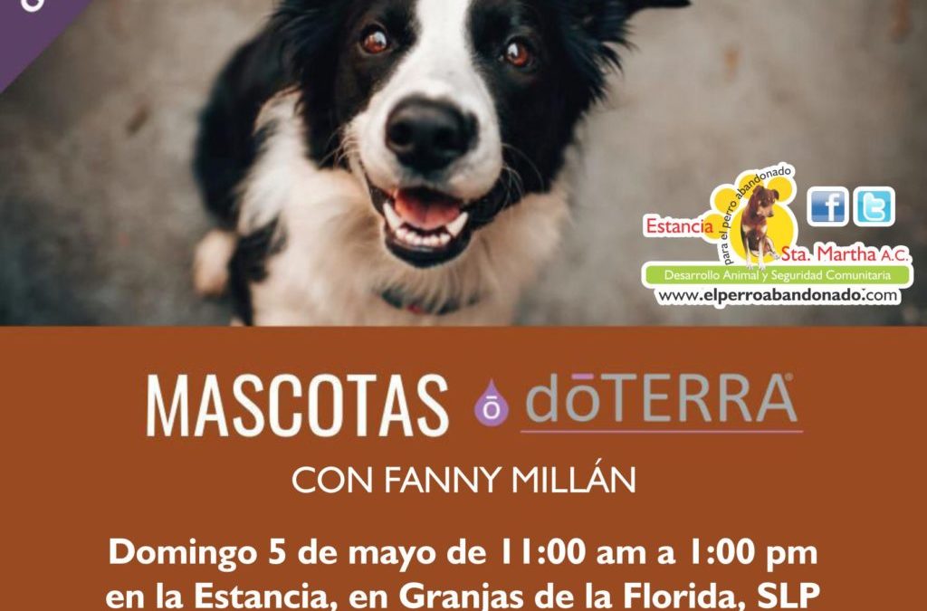 CLASE GRATUITA MASCOTAS DOTERRA