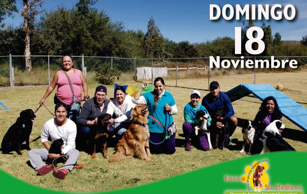 AGILITY EN LA ESTANCIA