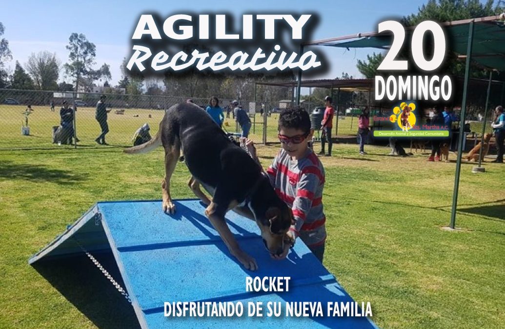 PRIMER DOMINGO DE AGILITY 2019