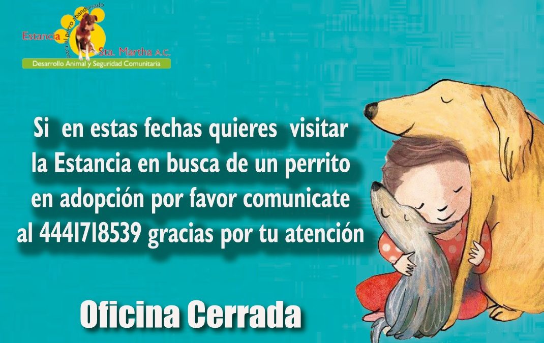 TODAVÍA PUEDES ADOPTAR ESTE 2018
